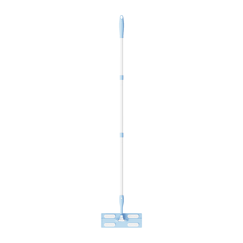 2 In 1 Dry and Wet Mop